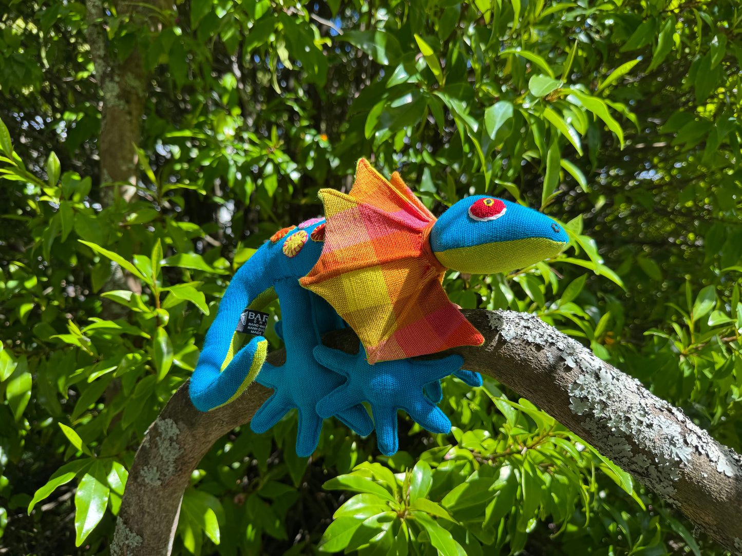 Laki the Frilled-Neck Lizard