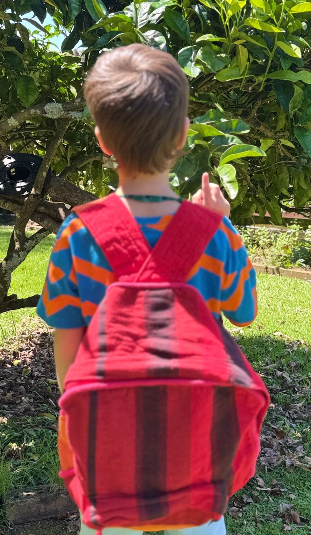 Colombo School Bag