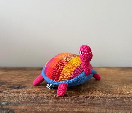 Wally the Tortoise