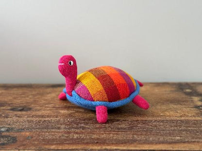 Wally the Tortoise